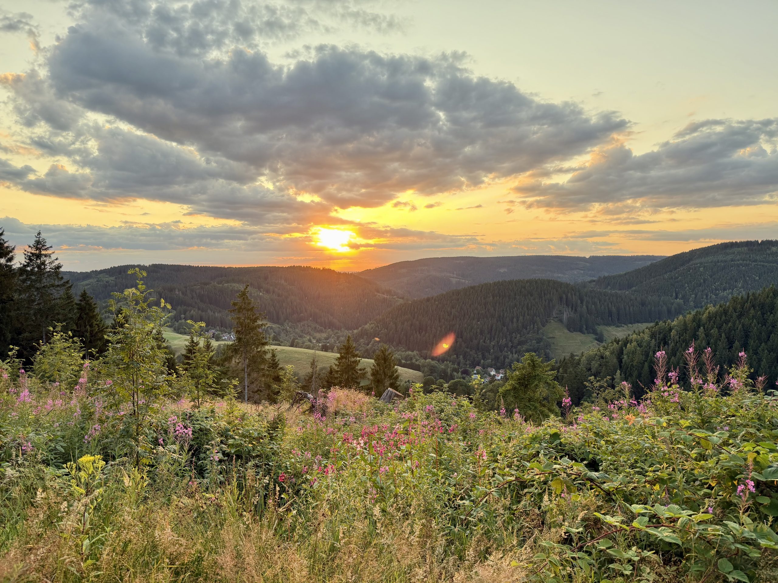 Auszeit im Harz: Warum Du kein Retreat brauchst