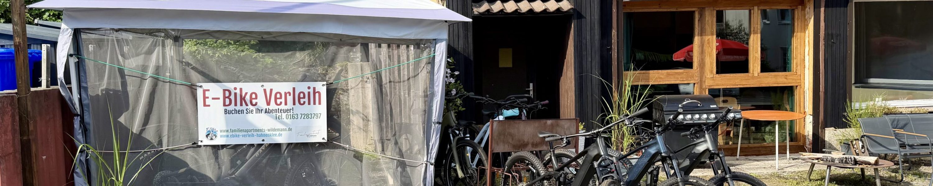 E_Bike_Verleih_Wildemann_FrontAnsicht