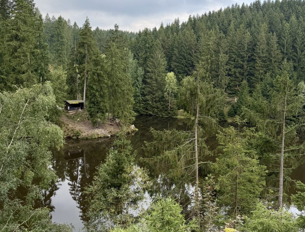 GrumbacherTeich_Wildemann