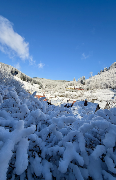 Wildemann_Badstubenberg